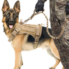 Elastic Shock-Absorbing Dog Leash – Outdoor Training Rope for Large Dogs with Ergonomic Design