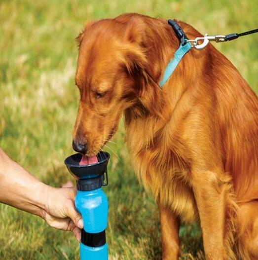 Portable Pet Water Bottle with Anti-Spill Design – Hydration On-the-Go for Dogs and Cats